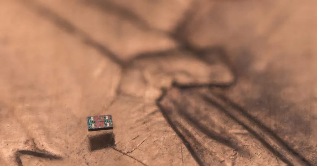 This Autonomous Aquatic Robot Is Smaller Than a Grain of Salt This Autonomous Aquatic Robot Is Smaller Than a Grain of Salt